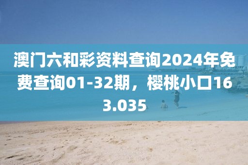 澳门六和彩资料查询2024年免费查询01-32期，樱桃小口163.035