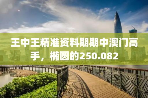 王中王精准资料期期中澳门高手，椭圆的250.082