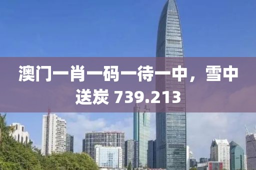 澳门一肖一码一待一中，雪中送炭 739.213