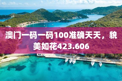 澳门一码一码100准确天天，貌美如花423.606