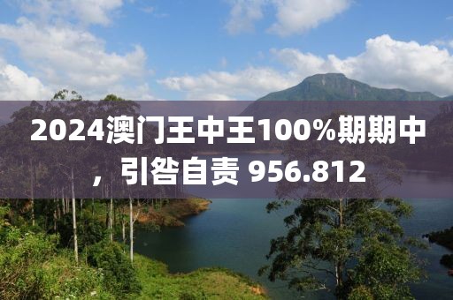 2024澳门王中王100%期期中，引咎自责 956.812