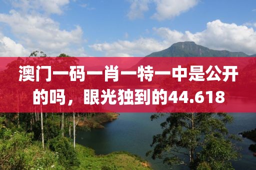 澳门一码一肖一特一中是公开的吗，眼光独到的44.618