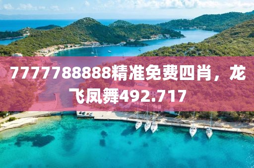 7777788888精准免费四肖，龙飞凤舞492.717