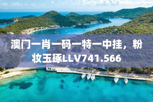 澳门一肖一码一特一中挂，粉妆玉琢LLV741.566