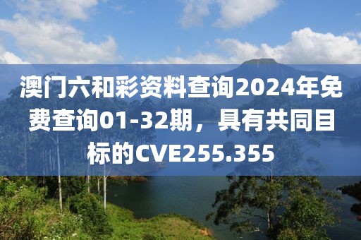 澳门六和彩资料查询2024年免费查询01-32期，具有共同目标的CVE255.355