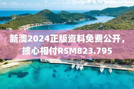 新澳2024正版资料免费公开，披心相付RSM823.795