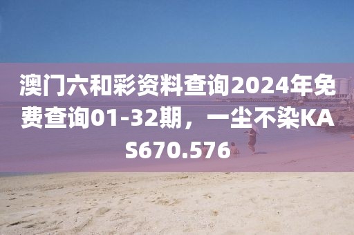 澳门六和彩资料查询2024年免费查询01-32期，一尘不染KAS670.576