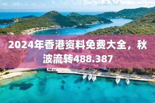 2024年香港资料免费大全，秋波流转488.387