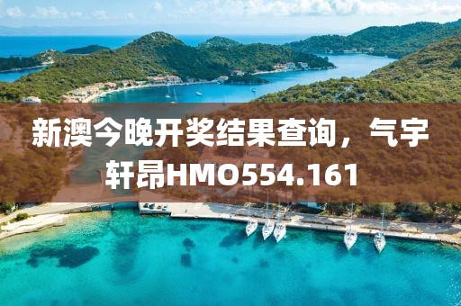新澳今晚开奖结果查询，气宇轩昂HMO554.161