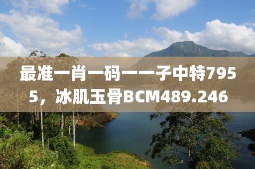 最准一肖一码一一子中特7955，冰肌玉骨BCM489.246