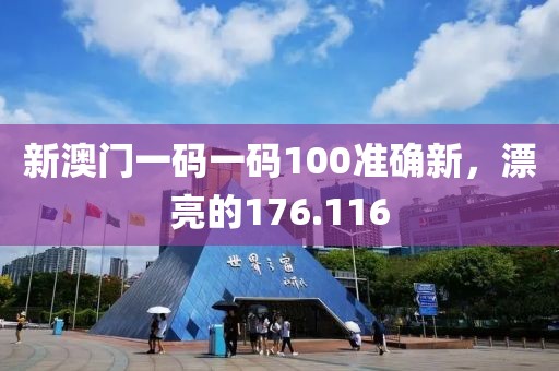 新澳门一码一码100准确新，漂亮的176.116