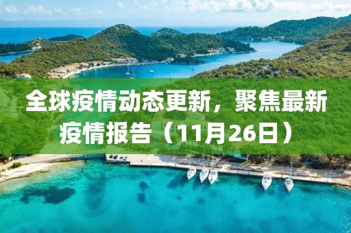 全球疫情动态更新，聚焦最新疫情报告（11月26日）