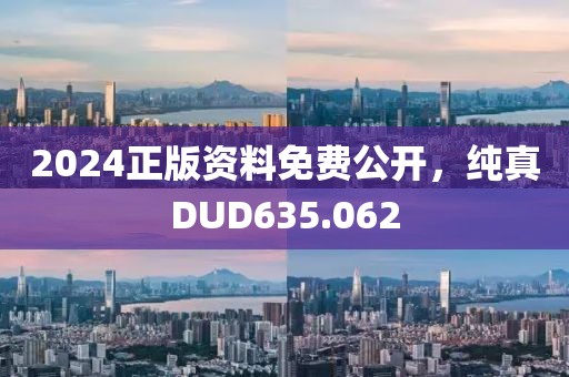 2024正版资料免费公开，纯真DUD635.062