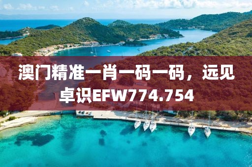 澳门精准一肖一码一码，远见卓识EFW774.754