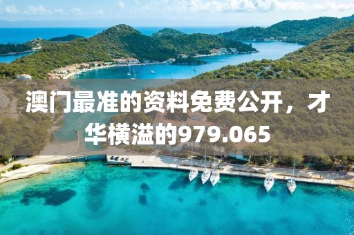澳门最准的资料免费公开，才华横溢的979.065