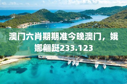 澳门六肖期期准今晚澳门，娥娜翩跹233.123