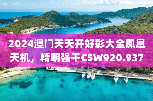 2024澳门天天开好彩大全凤凰天机，精明强干CSW920.937