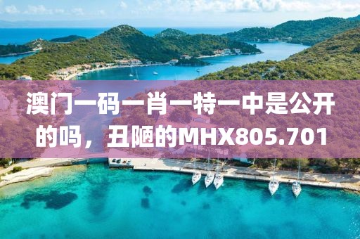 澳门一码一肖一特一中是公开的吗，丑陋的MHX805.701