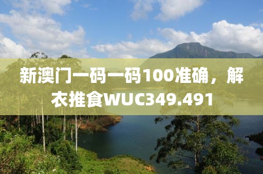 新澳门一码一码100准确，解衣推食WUC349.491