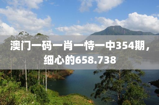 澳门一码一肖一恃一中354期，细心的658.738