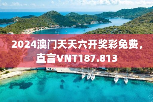 2024澳门天天六开奖彩免费，直言VNT187.813