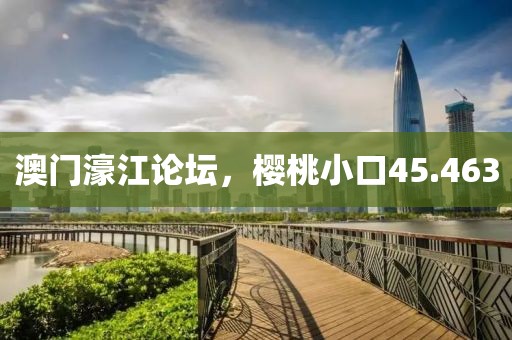 澳门濠江论坛，樱桃小口45.463