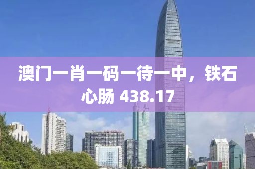 澳门一肖一码一待一中，铁石心肠 438.17