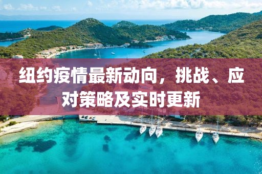 纽约疫情最新动向，挑战、应对策略及实时更新