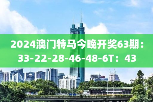2024澳门特马今晚开奖63期：33-22-28-46-48-6T：43