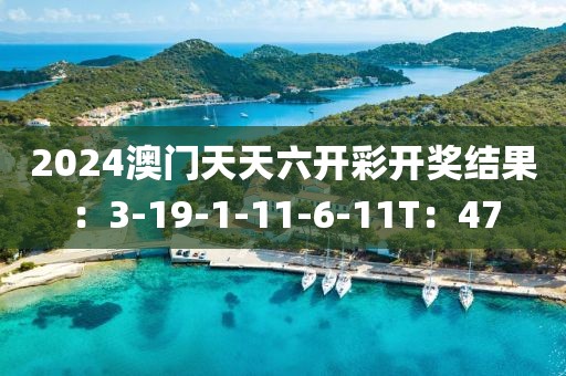 2024澳门天天六开彩开奖结果：3-19-1-11-6-11T：47