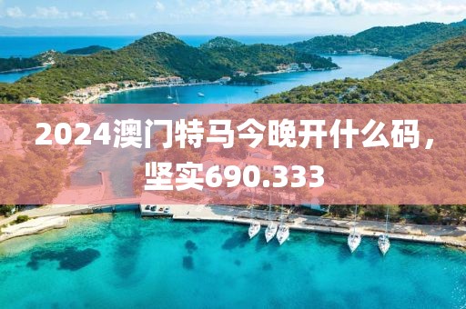 2024澳门特马今晚开什么码，坚实690.333