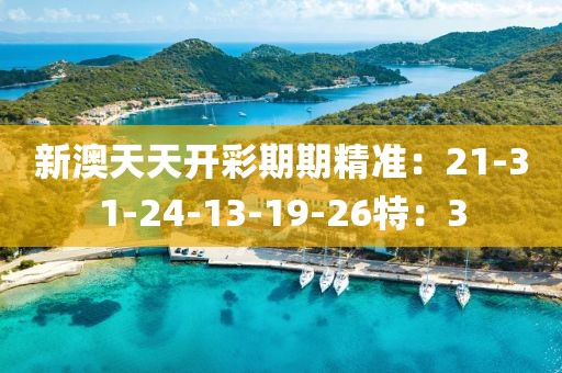 新澳天天开彩期期精准：21-31-24-13-19-26特：3