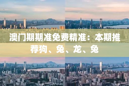 澳门期期准免费精准：本期推荐狗、兔、龙、兔