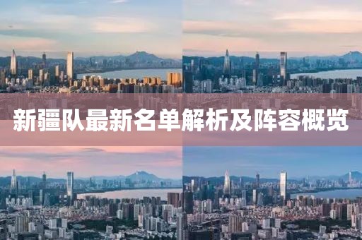 新疆队最新名单解析及阵容概览