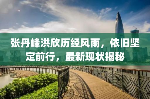 张丹峰洪欣历经风雨，依旧坚定前行，最新现状揭秘