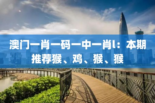 澳门一肖一码一中一肖l：本期推荐猴、鸡、猴、猴