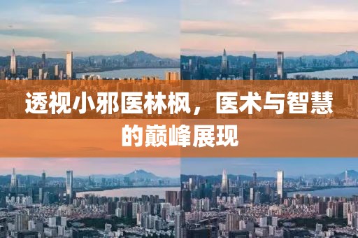 透视小邪医林枫，医术与智慧的巅峰展现