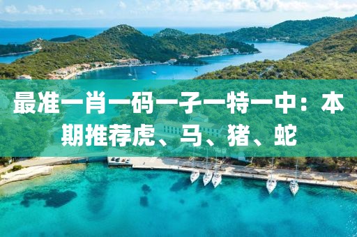 最准一肖一码一孑一特一中：本期推荐虎、马、猪、蛇