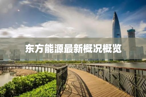 东方能源最新概况概览