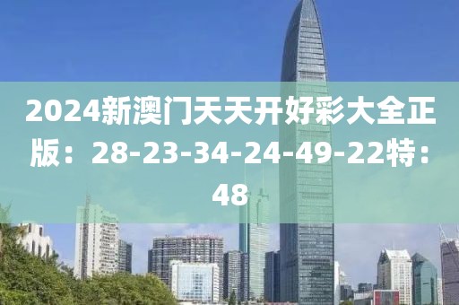 2024新澳门天天开好彩大全正版：28-23-34-24-49-22特：48