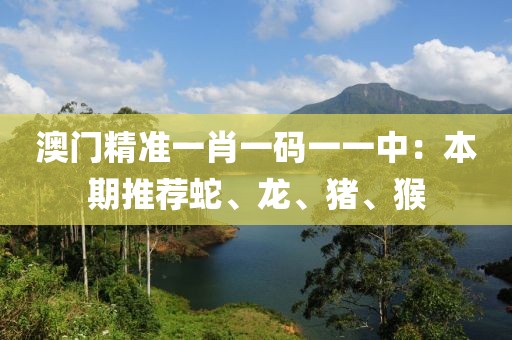 澳门精准一肖一码一一中：本期推荐蛇、龙、猪、猴
