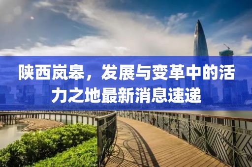 陕西岚皋，发展与变革中的活力之地最新消息速递
