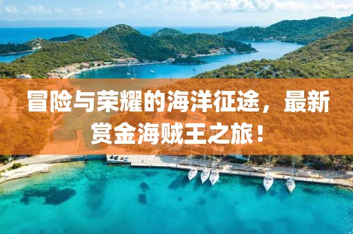 冒险与荣耀的海洋征途，最新赏金海贼王之旅！