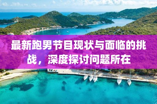 最新跑男节目现状与面临的挑战，深度探讨问题所在