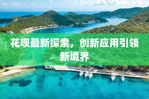 花呗最新探索，创新应用引领新境界