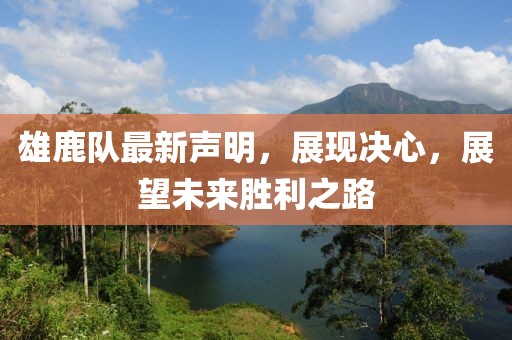 雄鹿队最新声明，展现决心，展望未来胜利之路