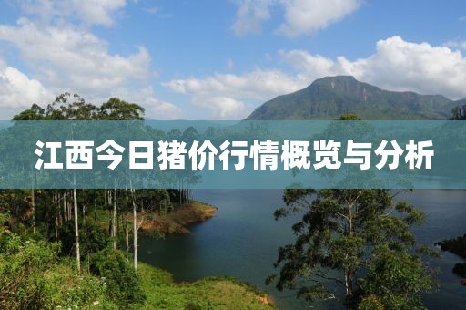 江西今日猪价行情概览与分析