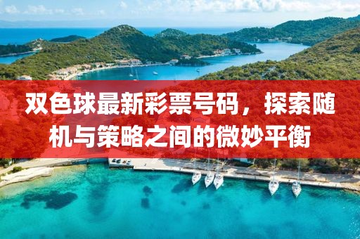 双色球最新彩票号码，探索随机与策略之间的微妙平衡