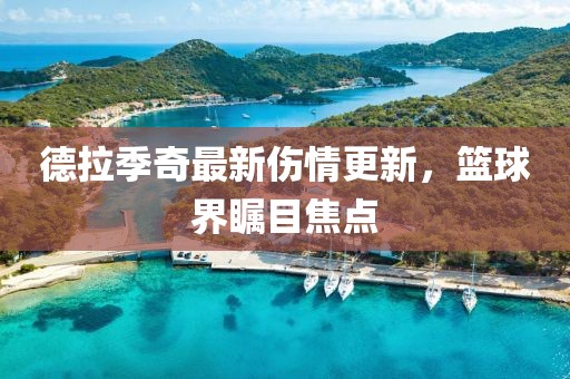 德拉季奇最新伤情更新，篮球界瞩目焦点