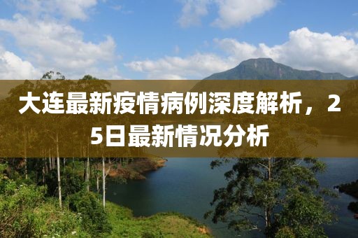 大连最新疫情病例深度解析，25日最新情况分析
